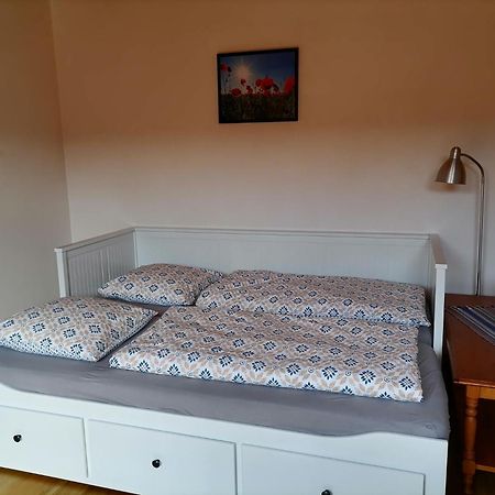 Appartement Et Terrasse Privee Ingolsheim Eksteriør bilde