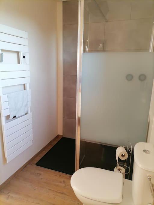 Appartement Et Terrasse Privee Ingolsheim Eksteriør bilde