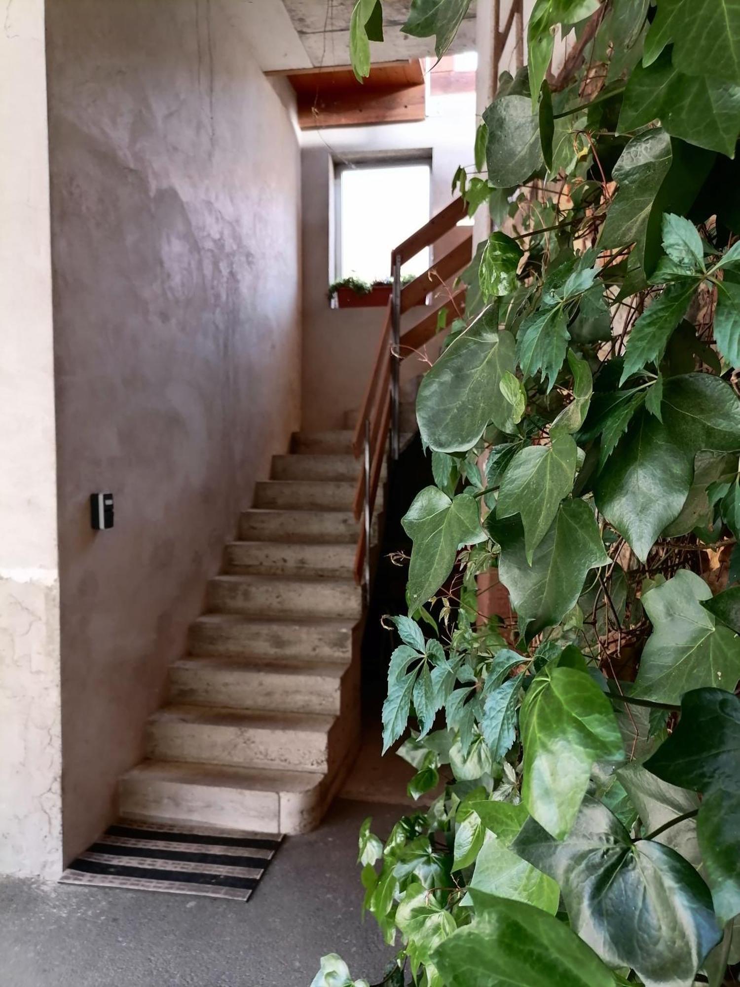 Appartement Et Terrasse Privee Ingolsheim Eksteriør bilde
