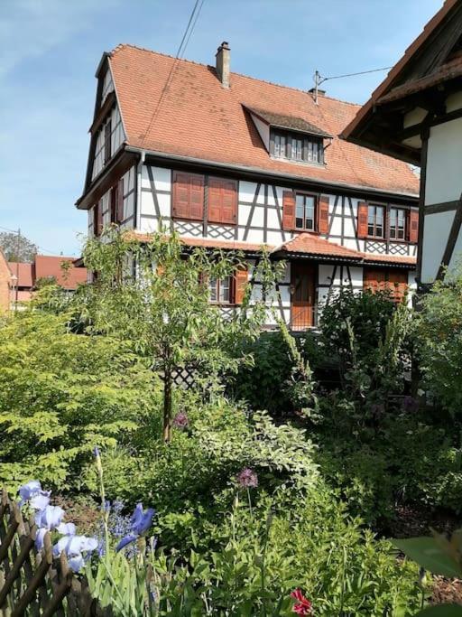 Appartement Et Terrasse Privee Ingolsheim Eksteriør bilde