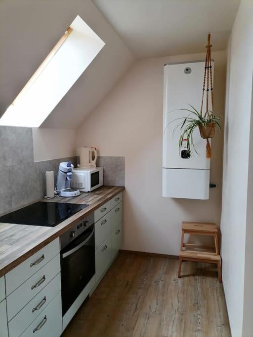 Appartement Et Terrasse Privee Ingolsheim Eksteriør bilde
