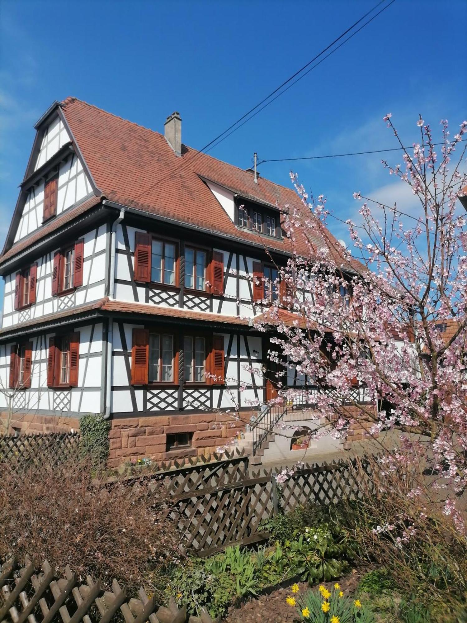 Appartement Et Terrasse Privee Ingolsheim Eksteriør bilde